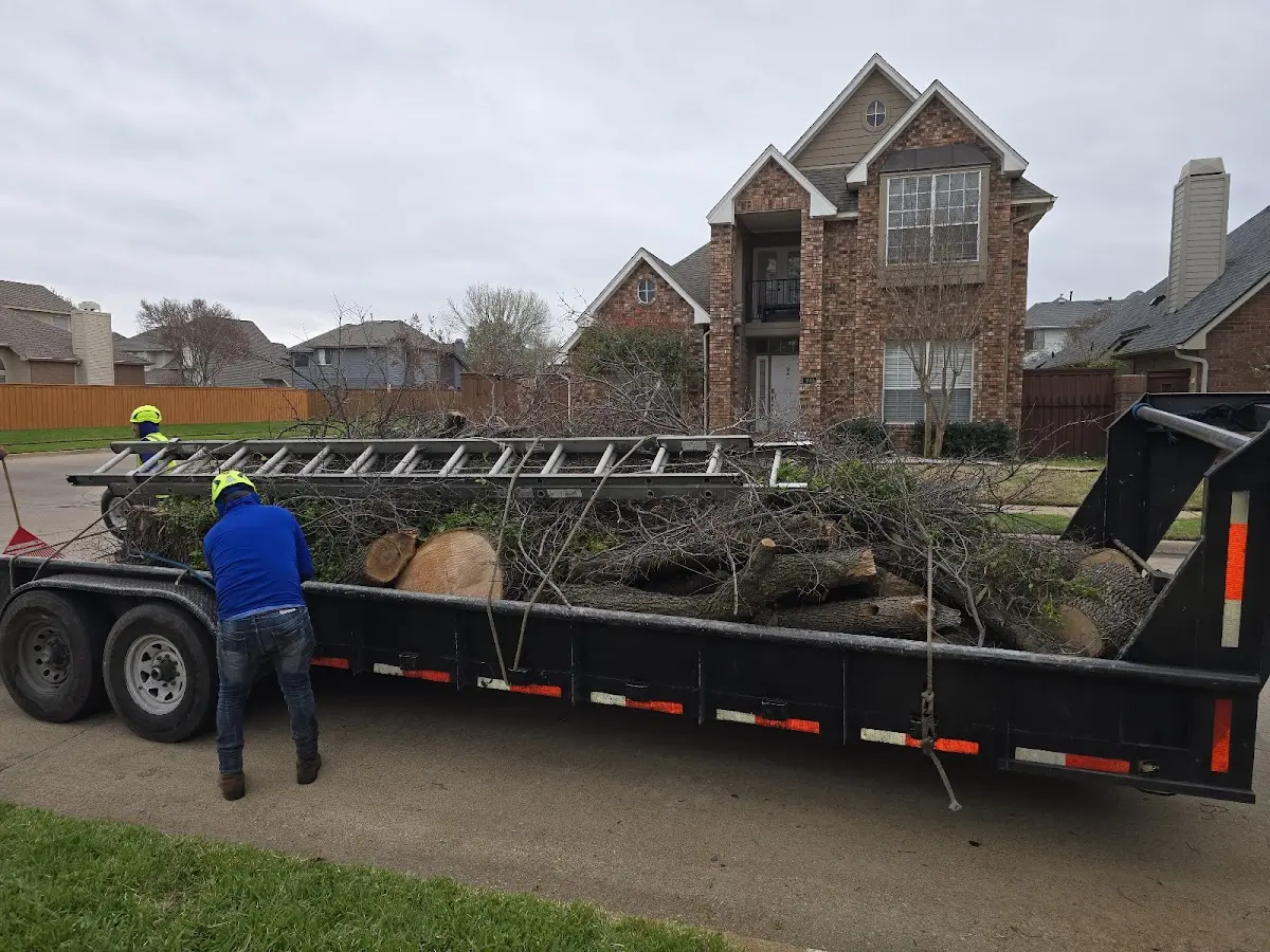 Expert Tree Removal with proper safety equipment in Kansasville
